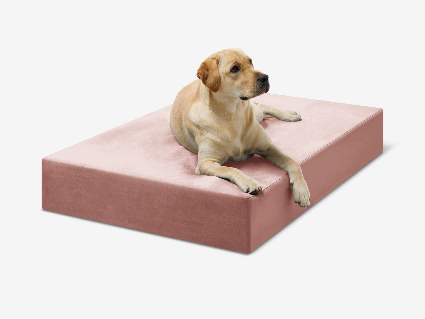 Cover | Original Bed — Limited Edition Colors